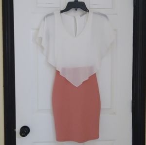 Papaya Pink Dress